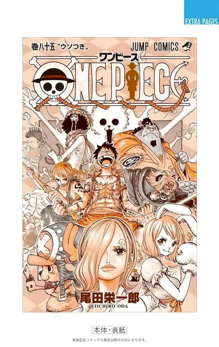 One Piece - Digital Colored Comics Chapter 858 25